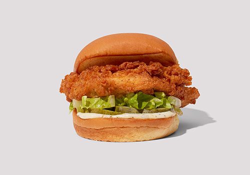 Product_Chicken_Chicken-Shack_2024_1500x920 Product_Chicken_Chicken-Shack_2024_1500x920